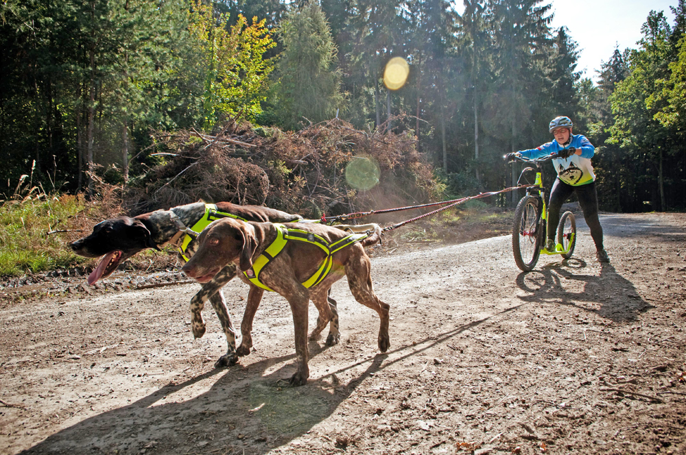 Footbikes for Mushing and pulling